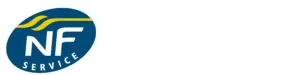 Logo NF APSAD